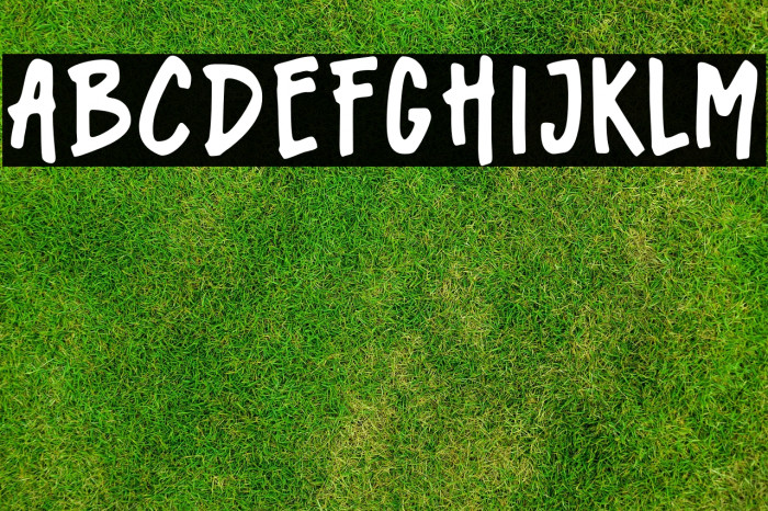 Bingbong-Regular Example 1