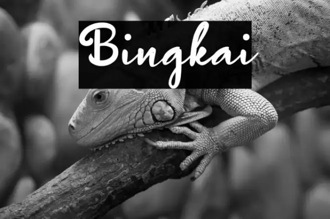 Bingkai Schriftart examples