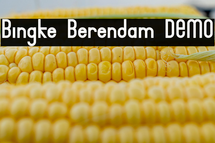Bingke Berendam DEMO Example 1