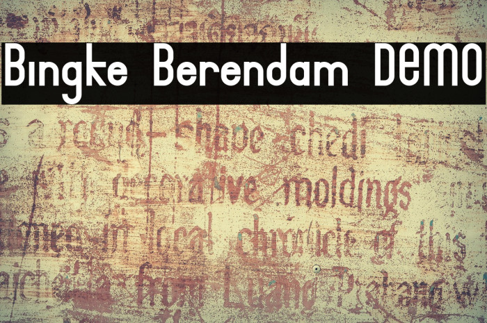 Bingke Berendam DEMO Example 3