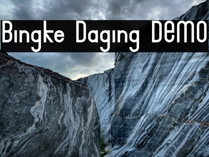 Bingke Daging DEMO Example 1