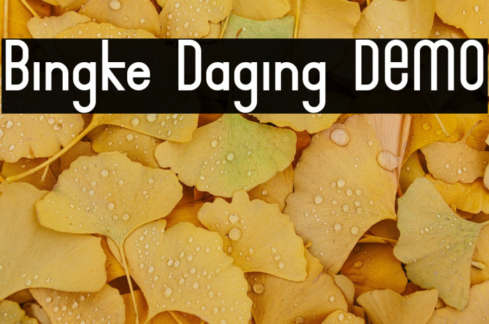Bingke Daging DEMO Example 2