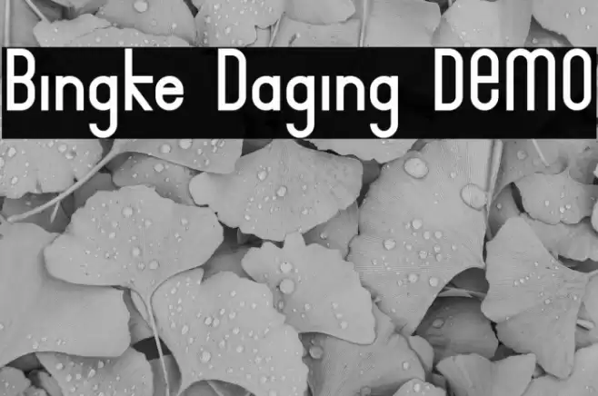 Bingke Daging DEMO Font examples