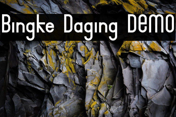 Bingke Daging DEMO Example 3
