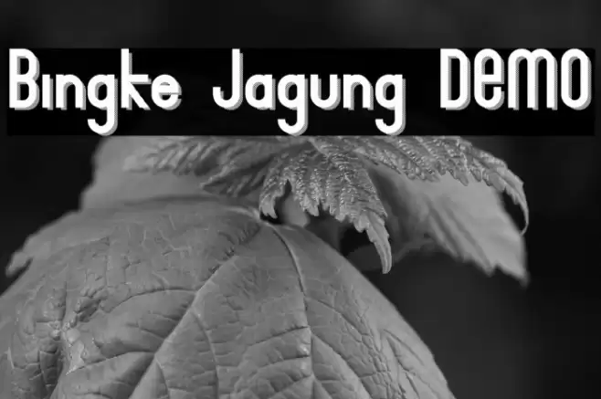 Bingke Jagung DEMO Font examples