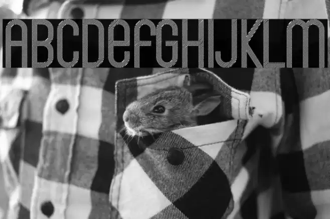 Bingke Kentang DEMO Font examples