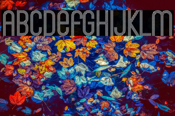 Bingke Kentang DEMO Example 3