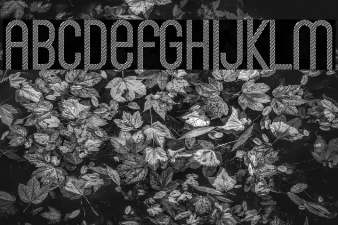 Bingke Kentang DEMO Font examples