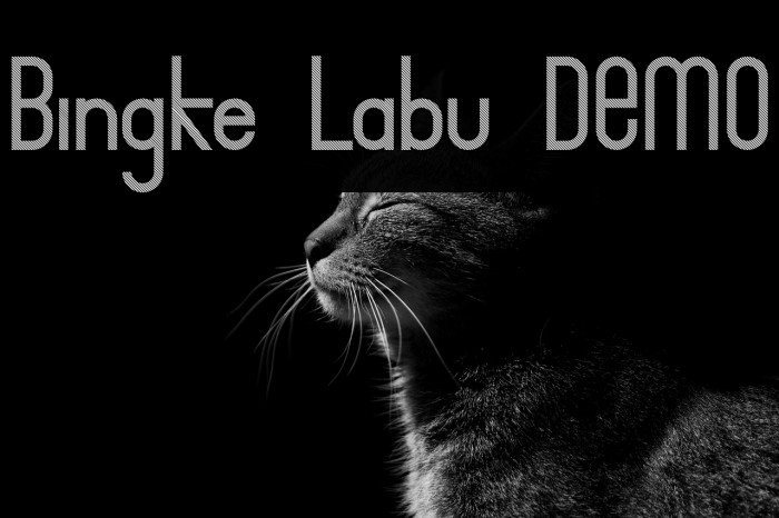 Bingke Labu DEMO Example 2