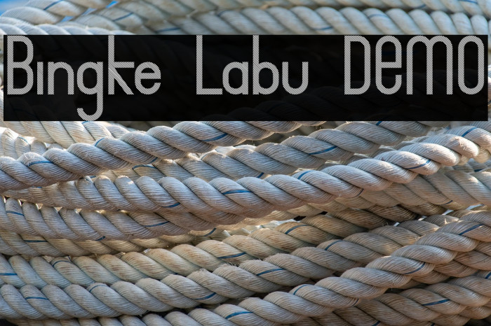 Bingke Labu DEMO Example 3