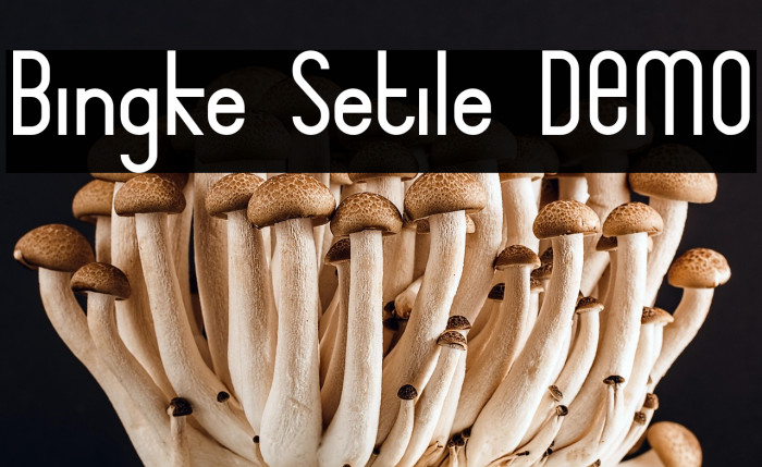Bingke Setile DEMO Example 1