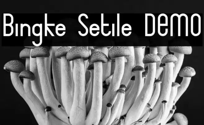 Bingke Setile DEMO Font examples