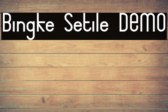 Bingke Setile DEMO Example 2