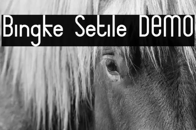 Bingke Setile DEMO Font examples