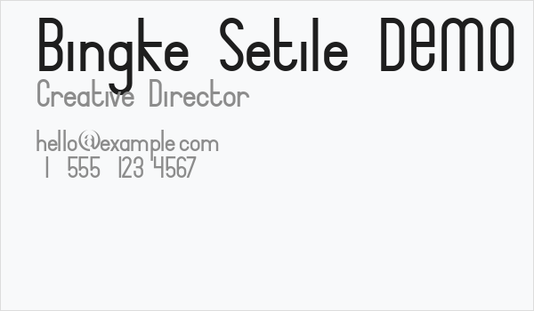 Bingke Setile DEMO Business Card