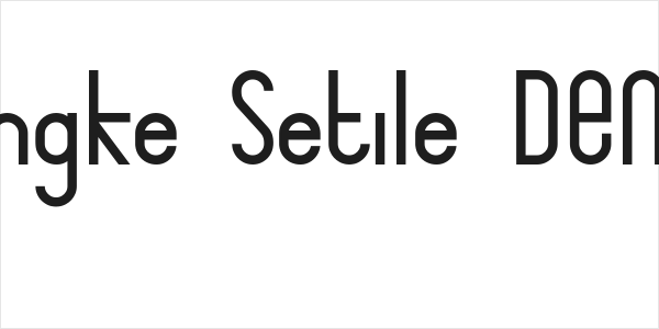 Bingke Setile DEMO Logo