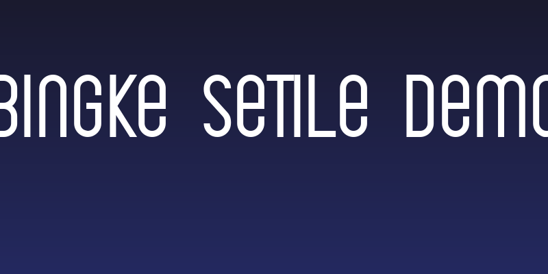 Bingke Setile DEMO Social Header