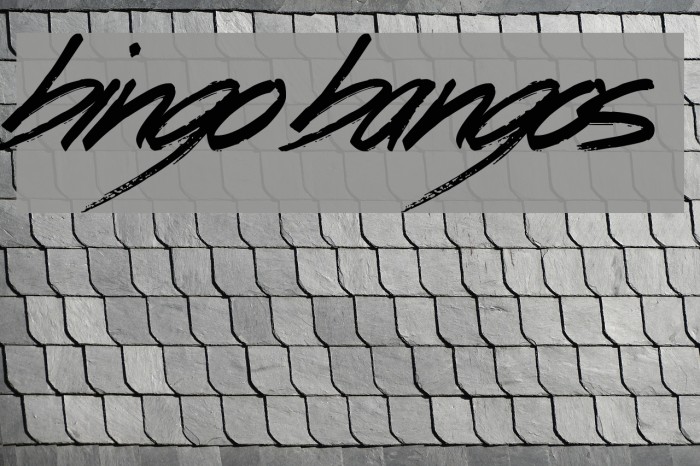 Bingo Bangos Font examples