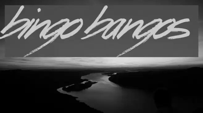 Bingo Bangos Font examples
