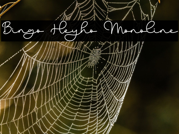 Bingo Heyho Monoline Example 3
