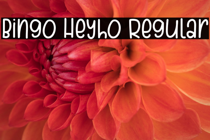 Bingo Heyho Regular Example 1