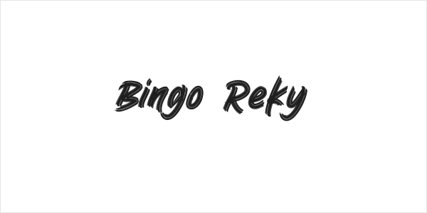 Bingo Reky Logo