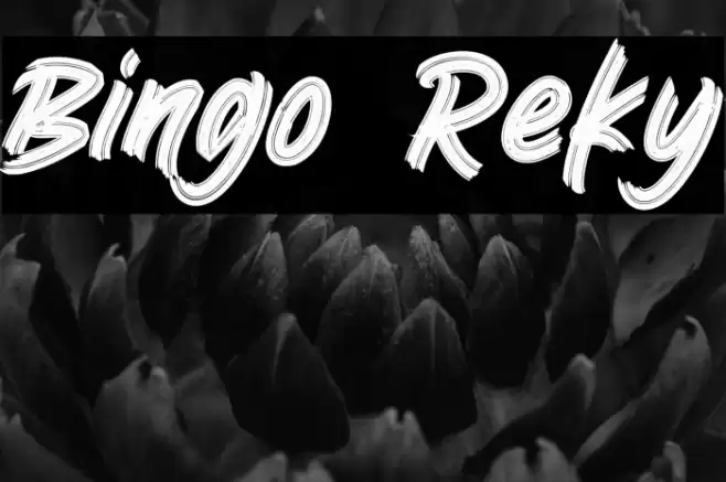 Bingo Reky Font examples