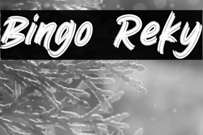 Bingo Reky Font examples