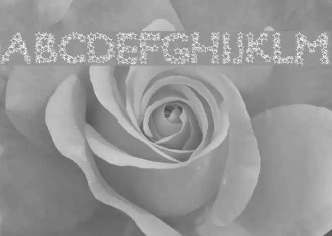 Bingo Star フォント examples