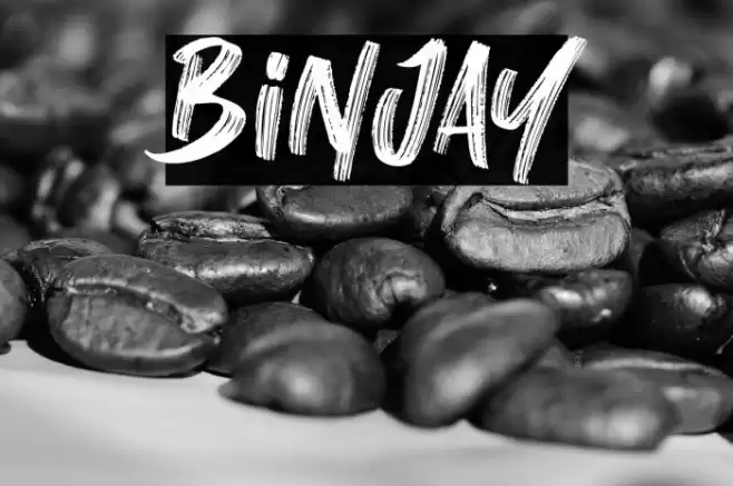 Binjay Font examples