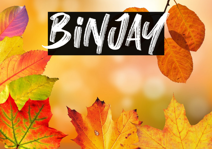 Binjay Example 2