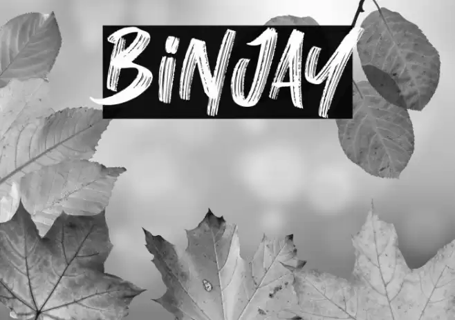 Binjay Font examples
