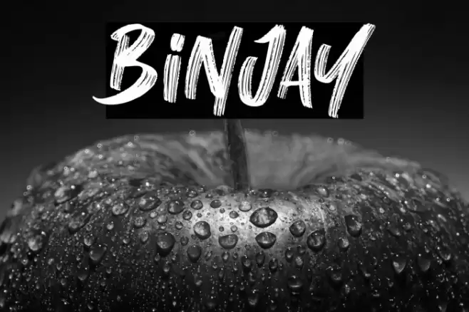 Binjay Font examples