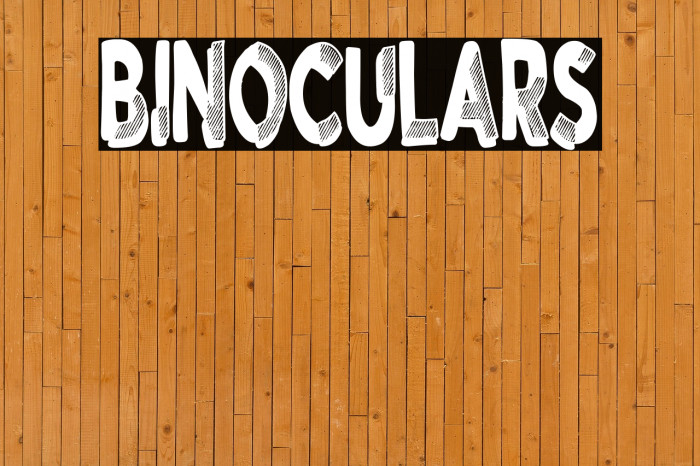 Binoculars Example 1