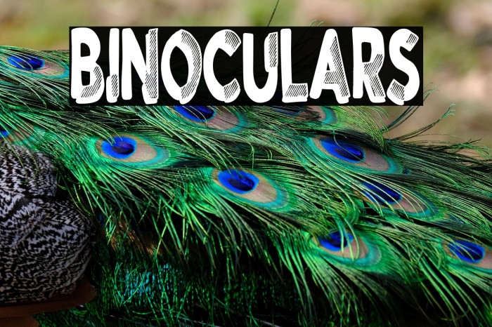 Binoculars Example 2