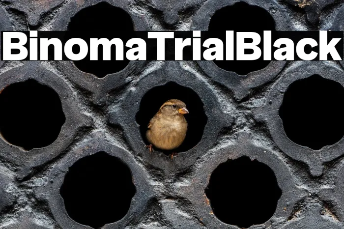 Binoma Trial Black Example 2