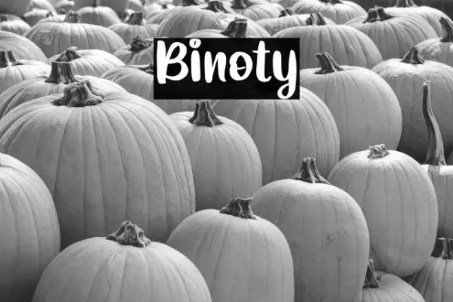 Binoty Font examples