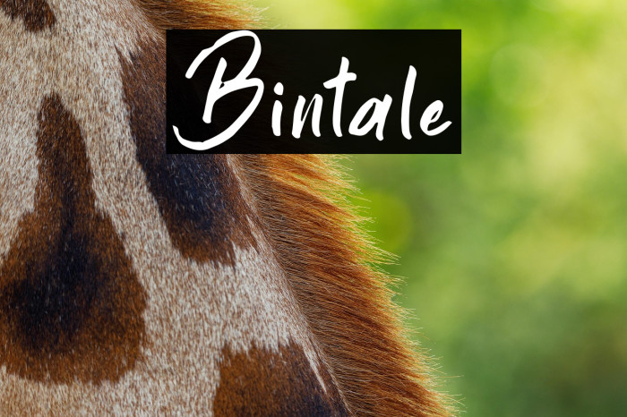 Bintale Example 1