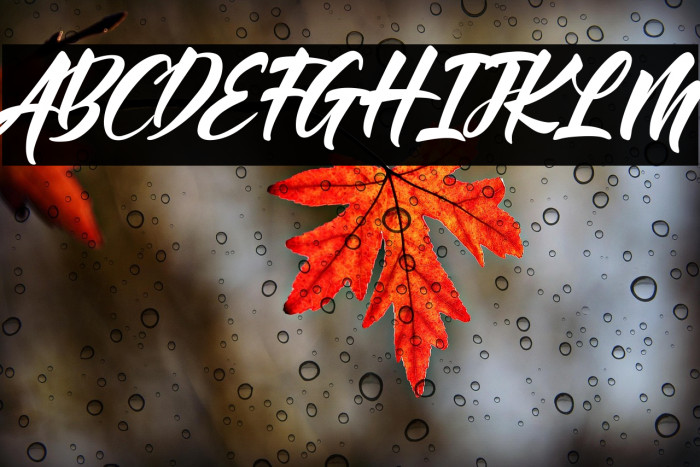 Bintang Kejora Example 1