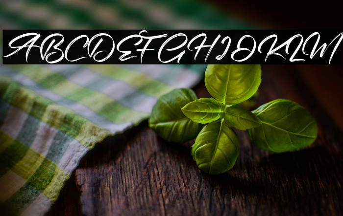 Bintang Signature Example 1