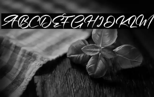 Bintang Signature Font examples