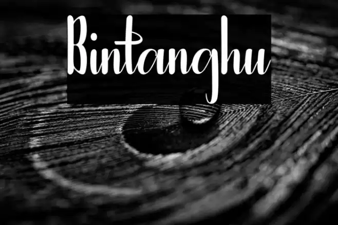 Bintanghu Font examples