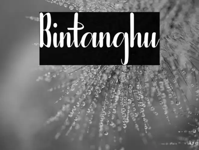 Bintanghu Font examples