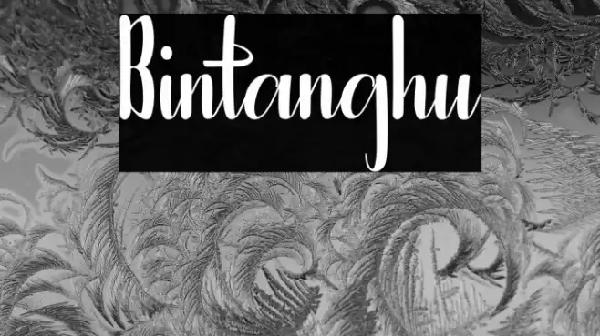 Bintanghu Font examples