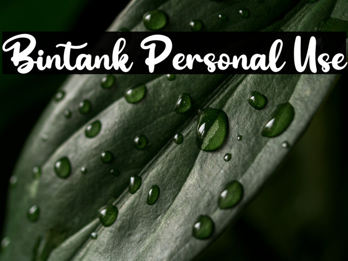 Bintank Personal Use Example 1