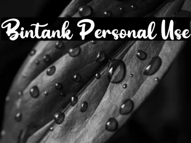 Bintank Personal Use Font examples