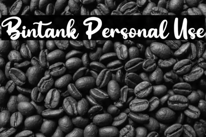 Bintank Personal Use Font examples