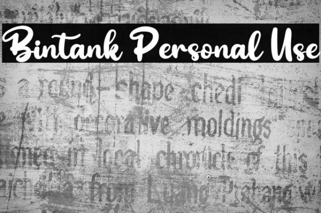 Bintank Personal Use Font examples