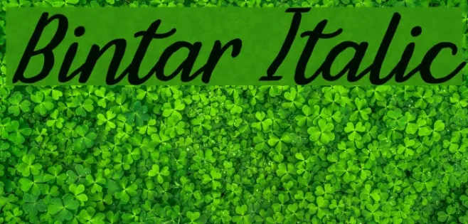 Bintar Italic Example 2