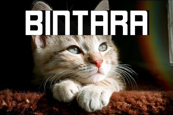 Bintara Example 1